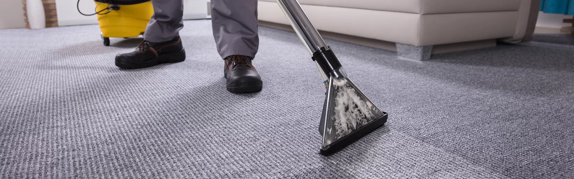 Entretien de tapis Horto Group