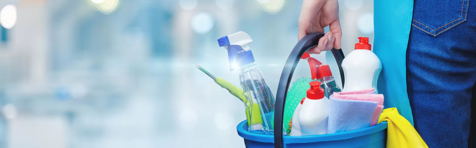 Services de nettoyage Horto Group