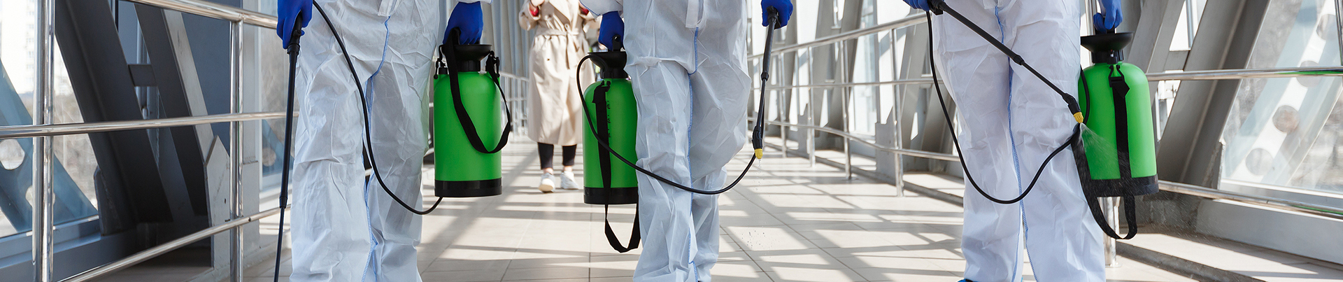 Désinfection professionnelle Horto Group