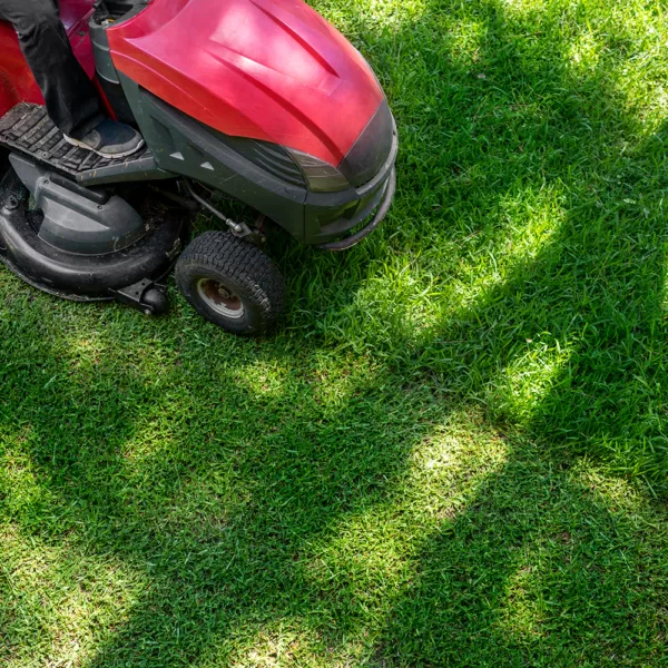 Entretien des espaces verts